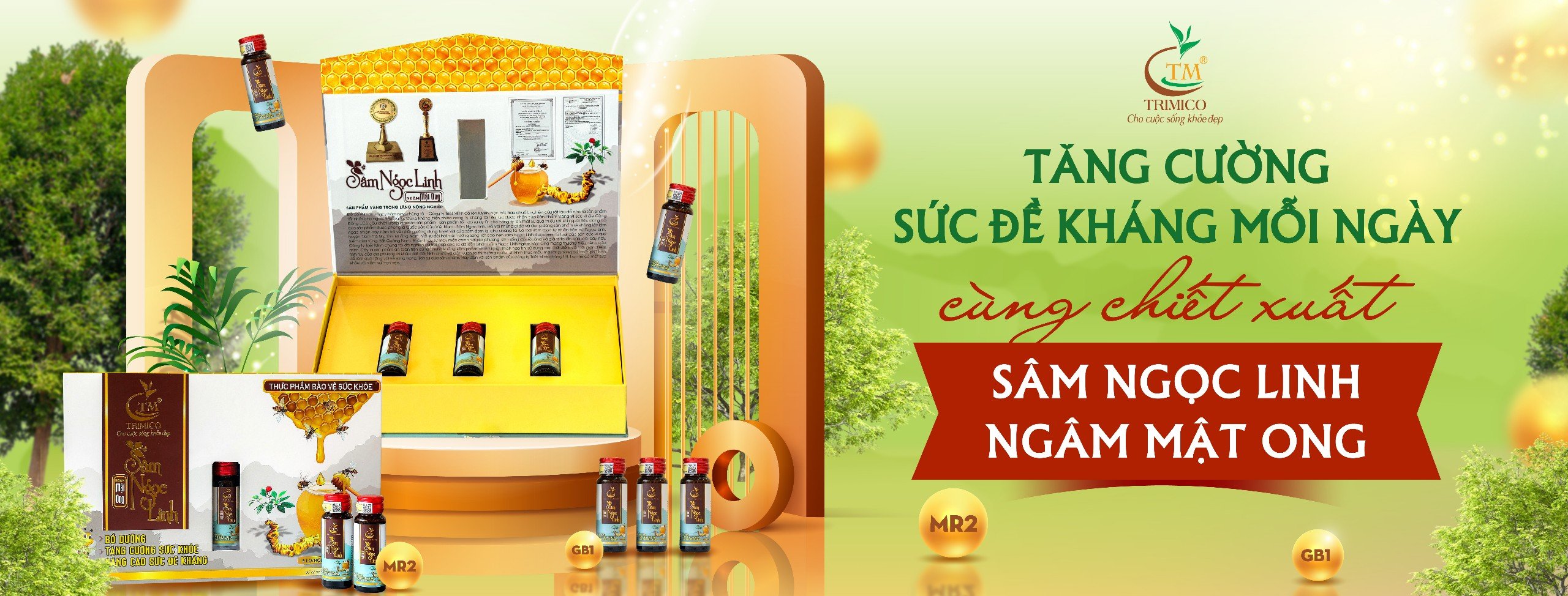 Chiết xuất Sâm Ngọc Linh ngâm mật ong