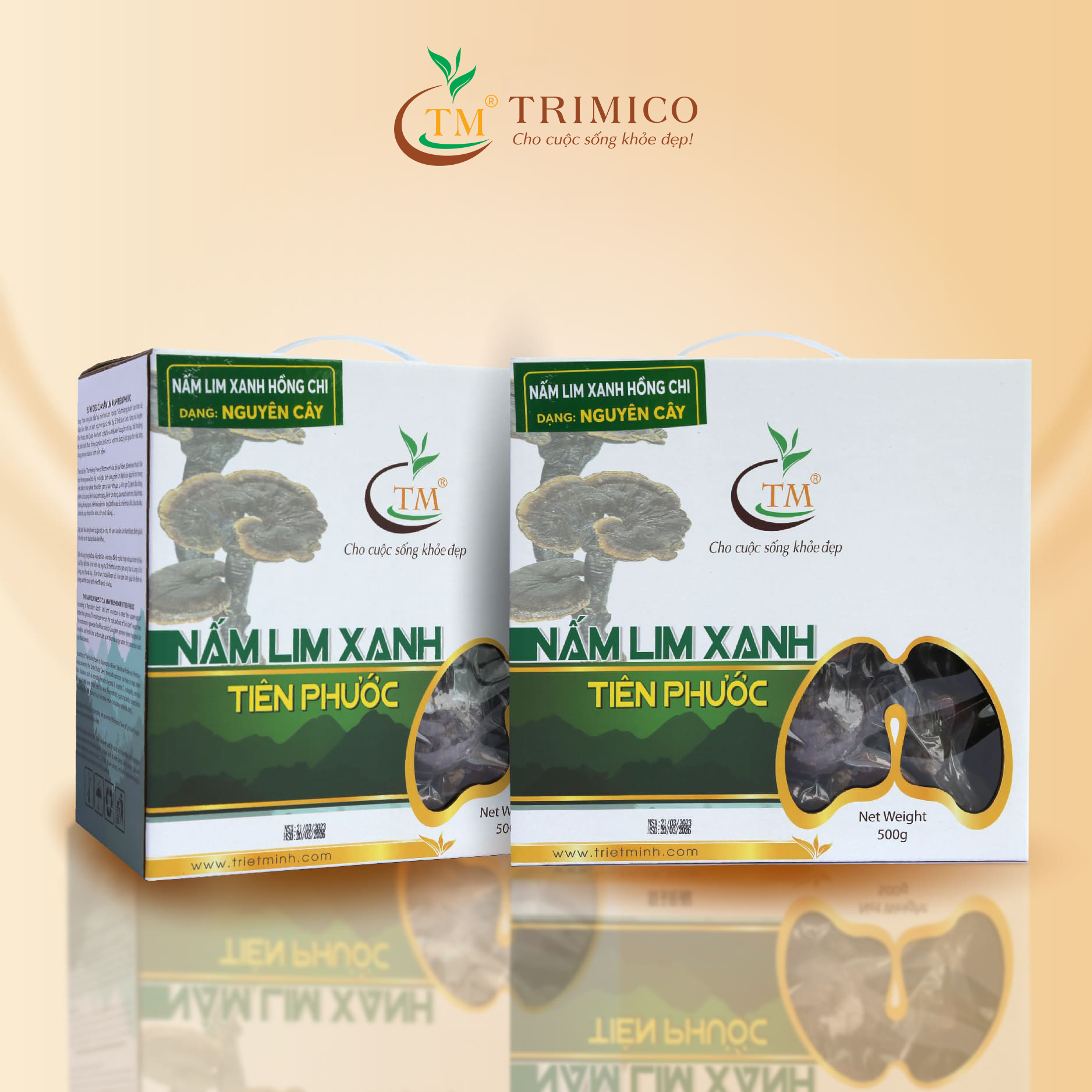 Nấm lim xanh rừng nguyên cây 500g