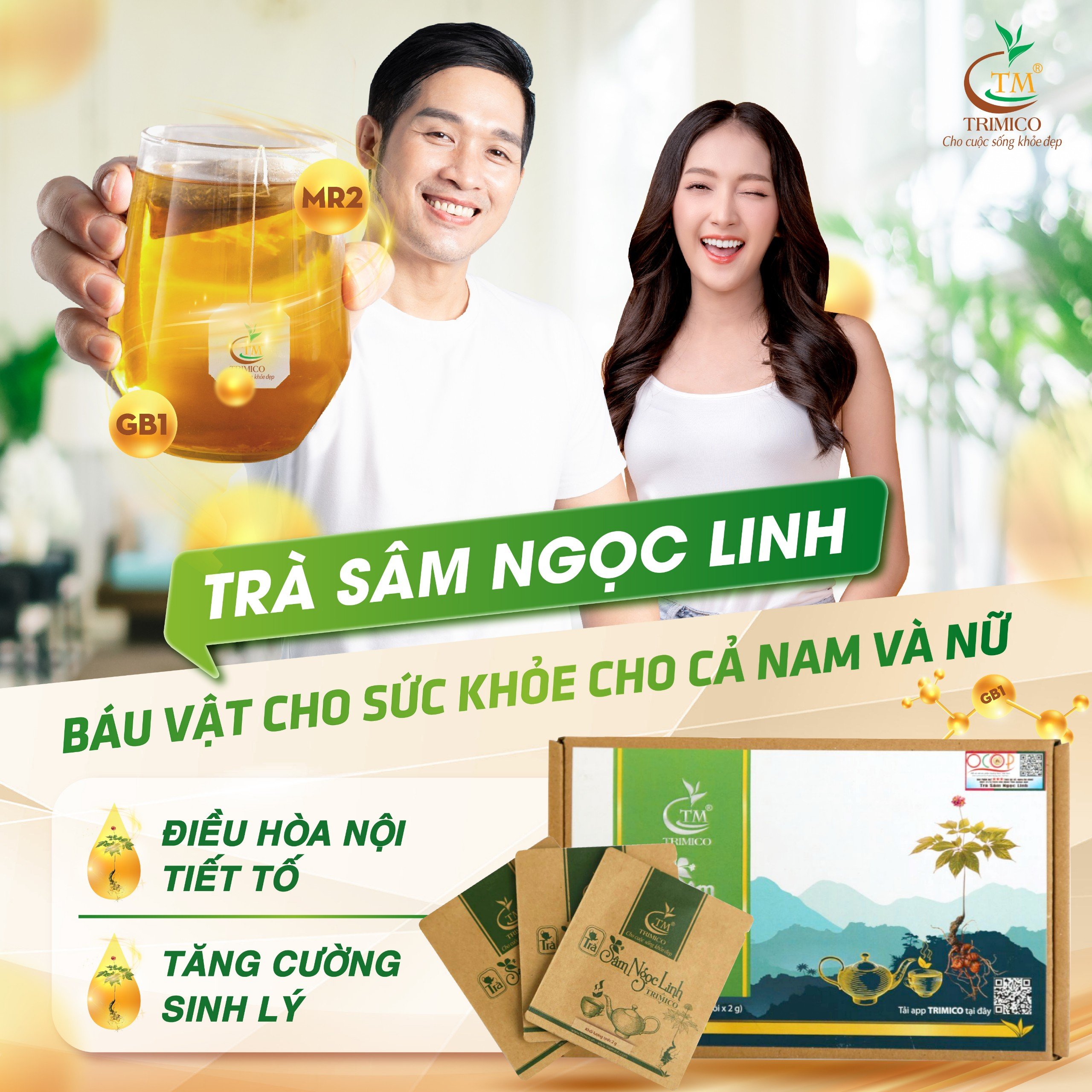 Trà Sâm Ngọc Linh - Thức uống tốt cho sức khoẻ mọi người, mọi nhà